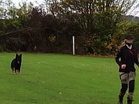 IMG 20201017 121011
