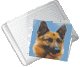 icon_album1